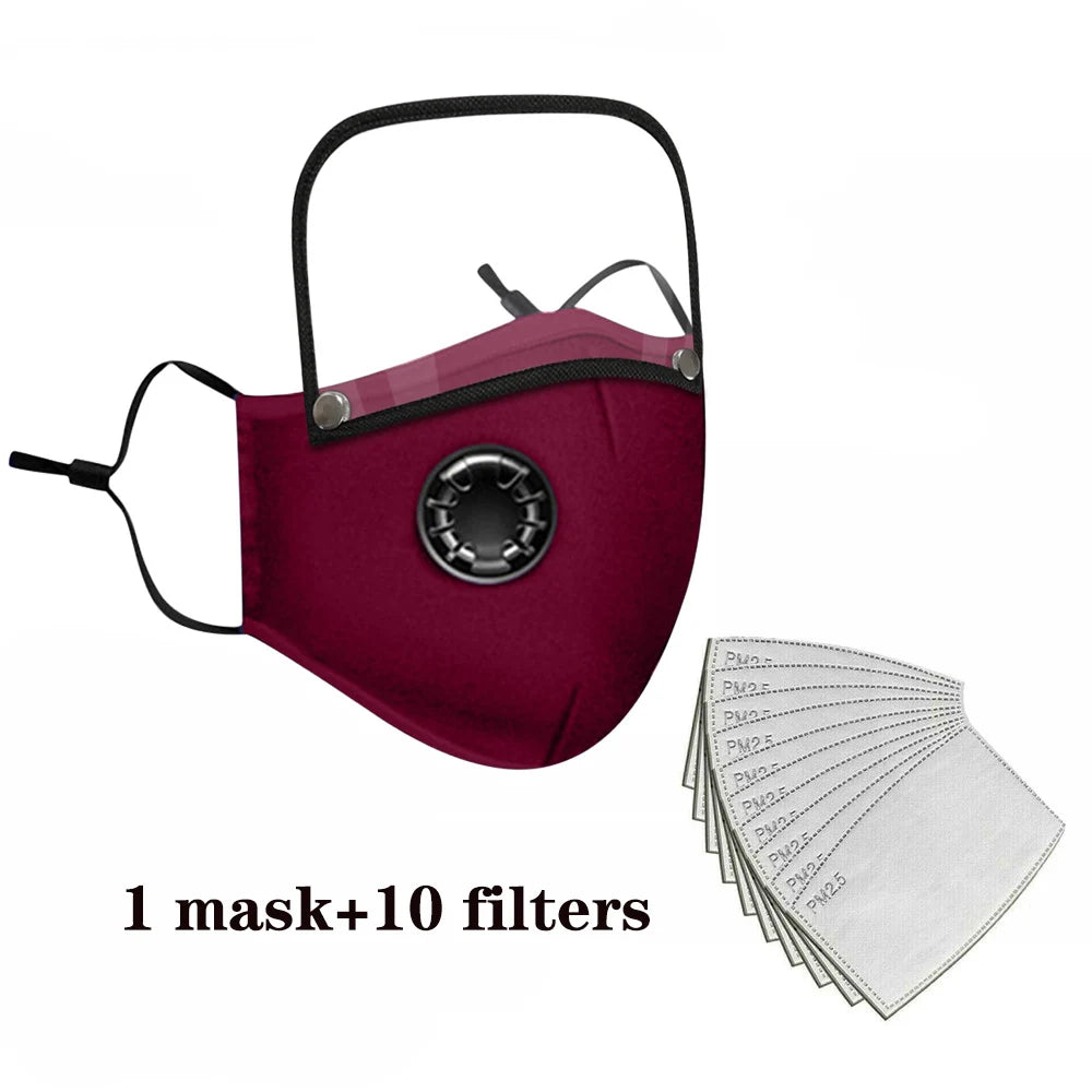 Reusable Washable Face Mask with Filters