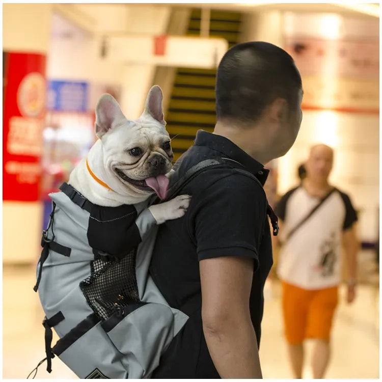 Breathable Dog Carrier Backpack for Travel & Hiking