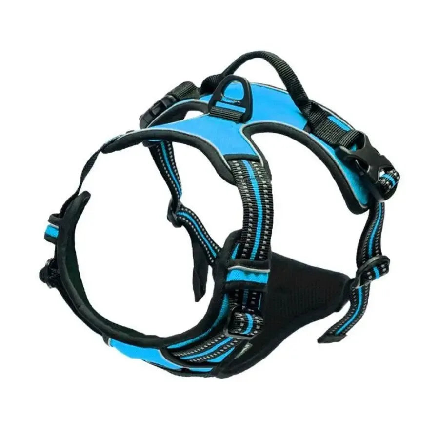 Adjustable Dog Harness & Leash Set – Comfortable Puppy Vest