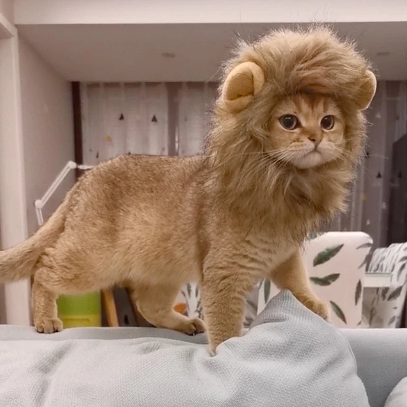 Lion Mane Pet Costume Headpiece