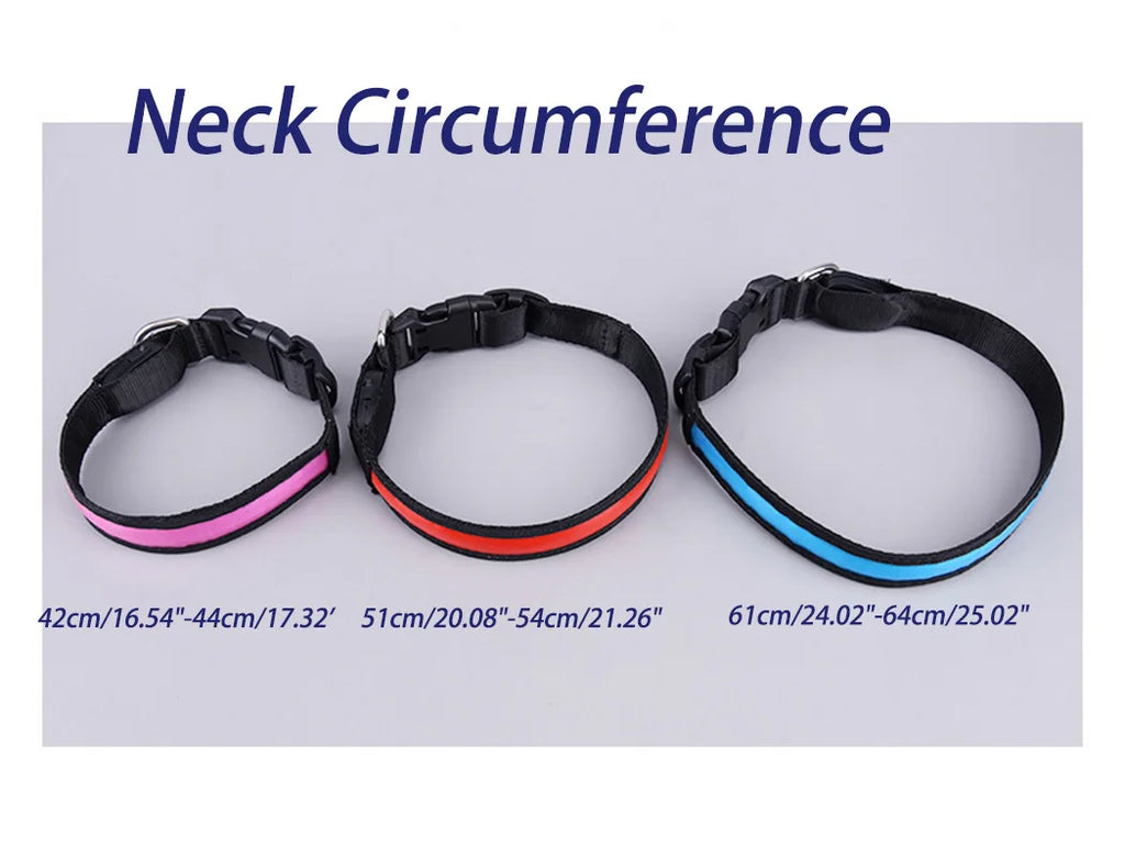 USB Rechargeable LED Dog Collar – 3 Light Modes