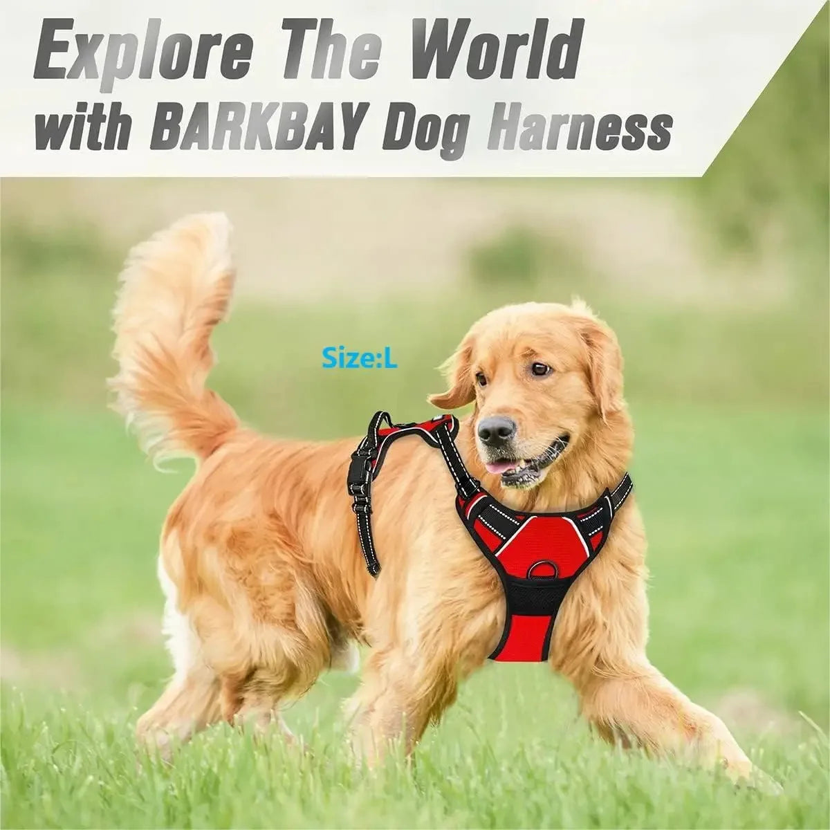 Adjustable Dog Harness & Leash Set – Comfortable Puppy Vest