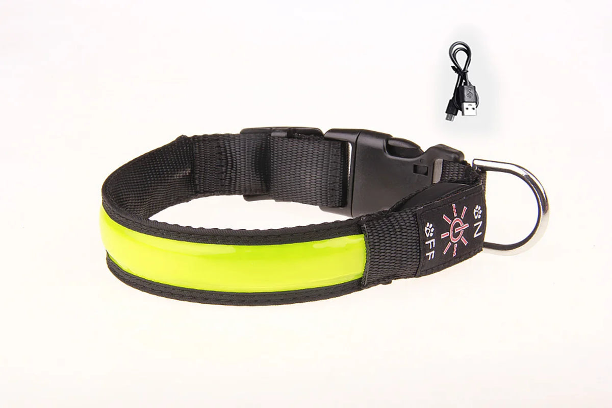 USB Rechargeable LED Dog Collar – 3 Light Modes