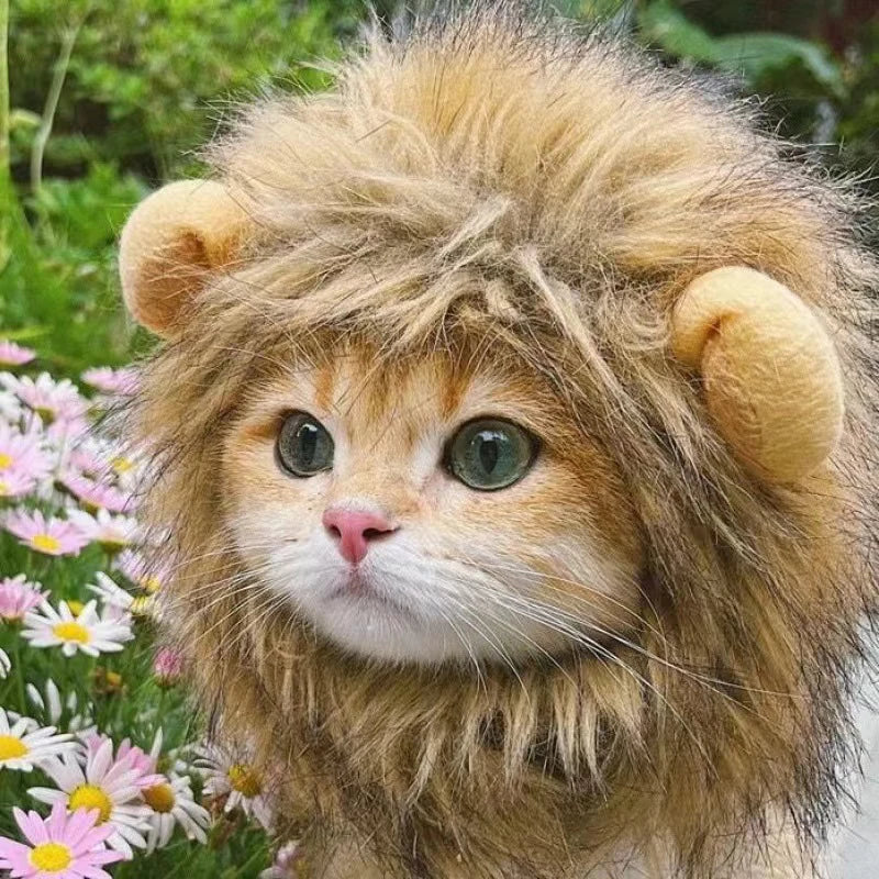 Lion Mane Pet Costume Headpiece