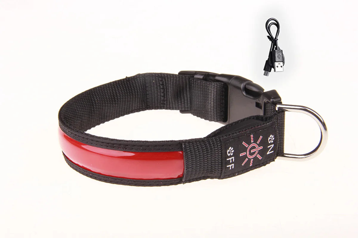 USB Rechargeable LED Dog Collar – 3 Light Modes