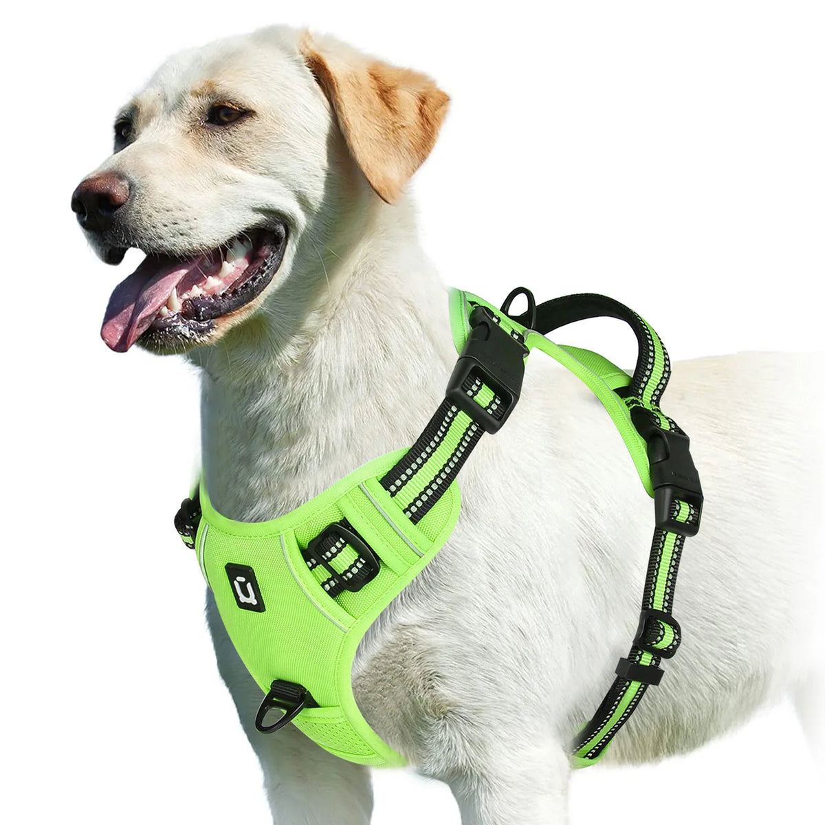 Adjustable No-Pull Padded Dog Vest Harness