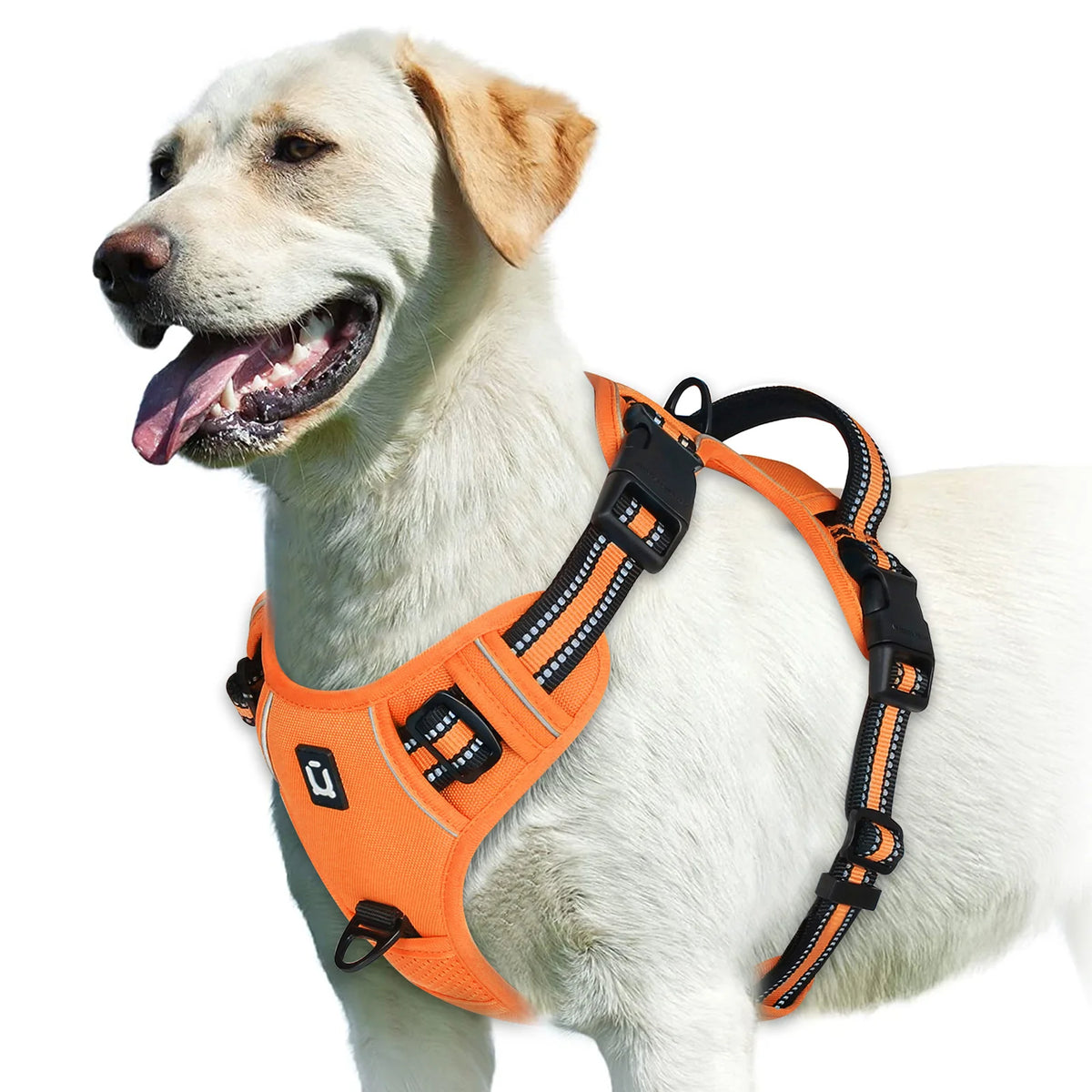 Adjustable No-Pull Padded Dog Vest Harness