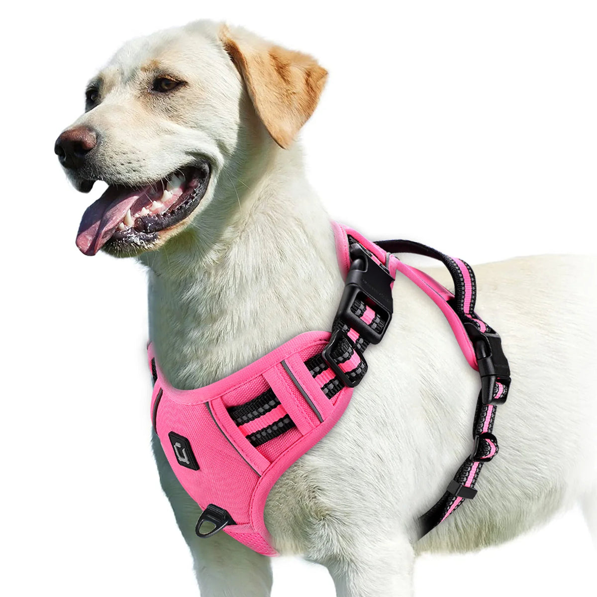 Adjustable No-Pull Padded Dog Vest Harness