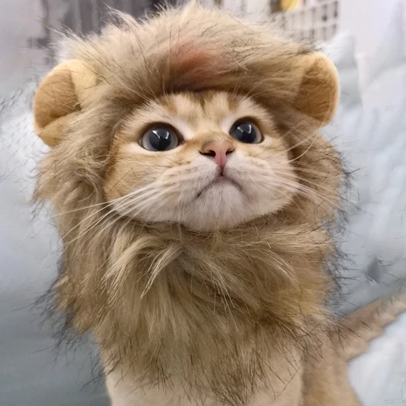 Lion Mane Pet Costume Headpiece