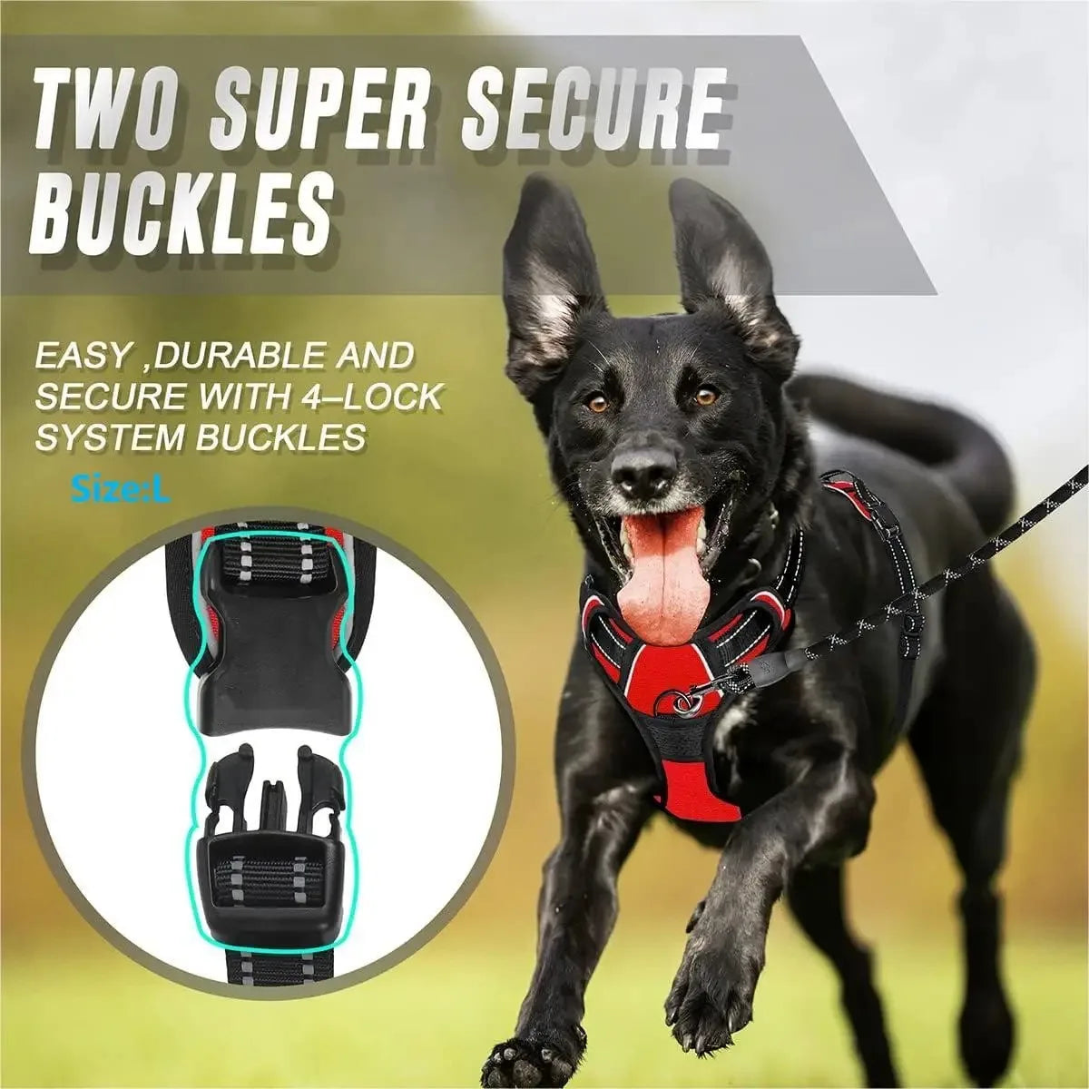 Adjustable Dog Harness & Leash Set – Comfortable Puppy Vest
