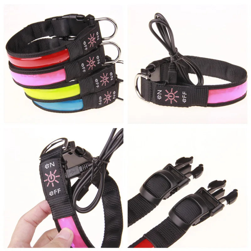 USB Rechargeable LED Dog Collar – 3 Light Modes