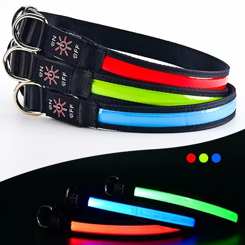 USB Rechargeable LED Dog Collar – 3 Light Modes