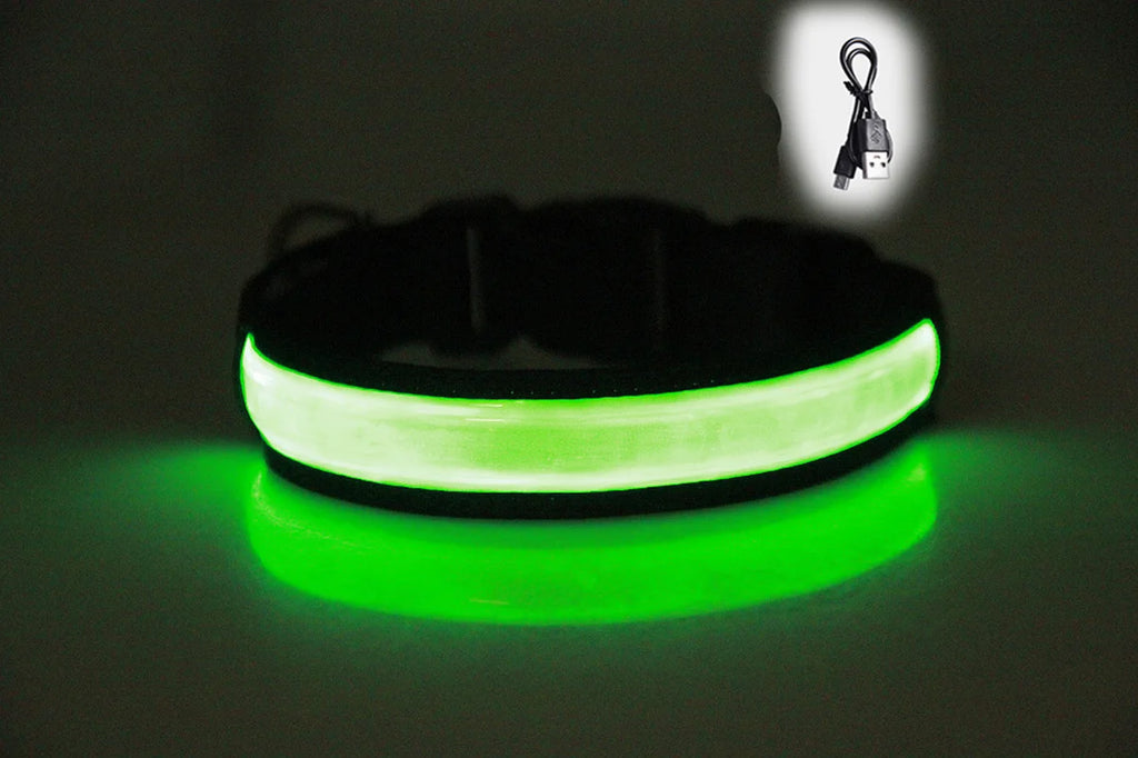 USB Rechargeable LED Dog Collar – 3 Light Modes