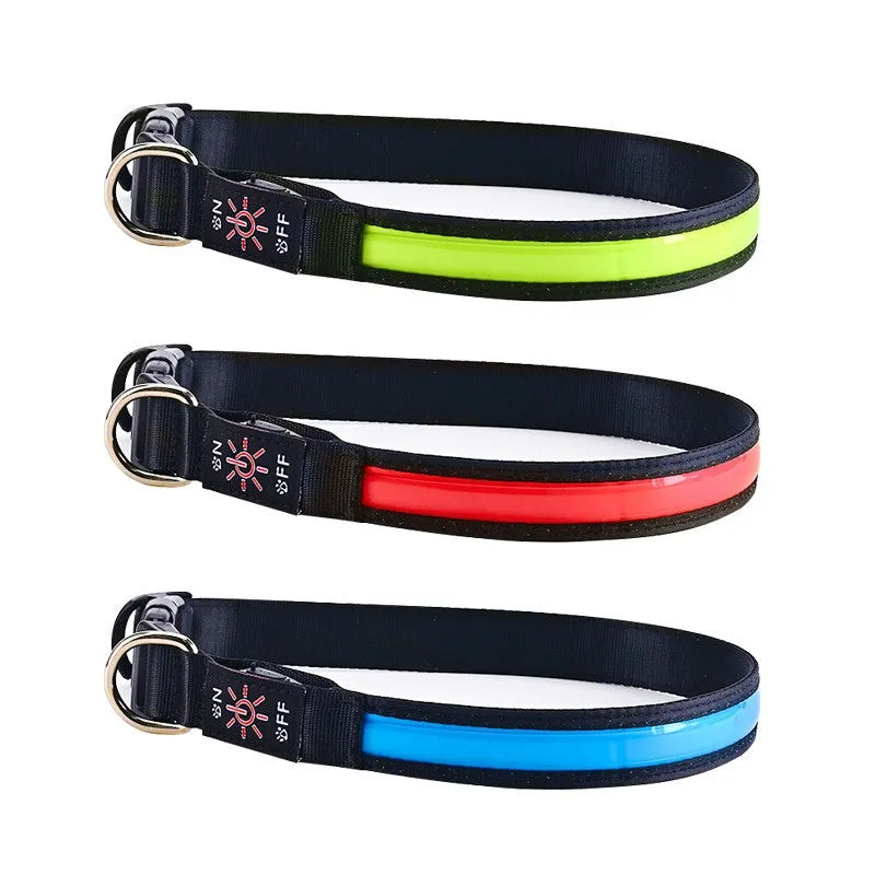 USB Rechargeable LED Dog Collar – 3 Light Modes