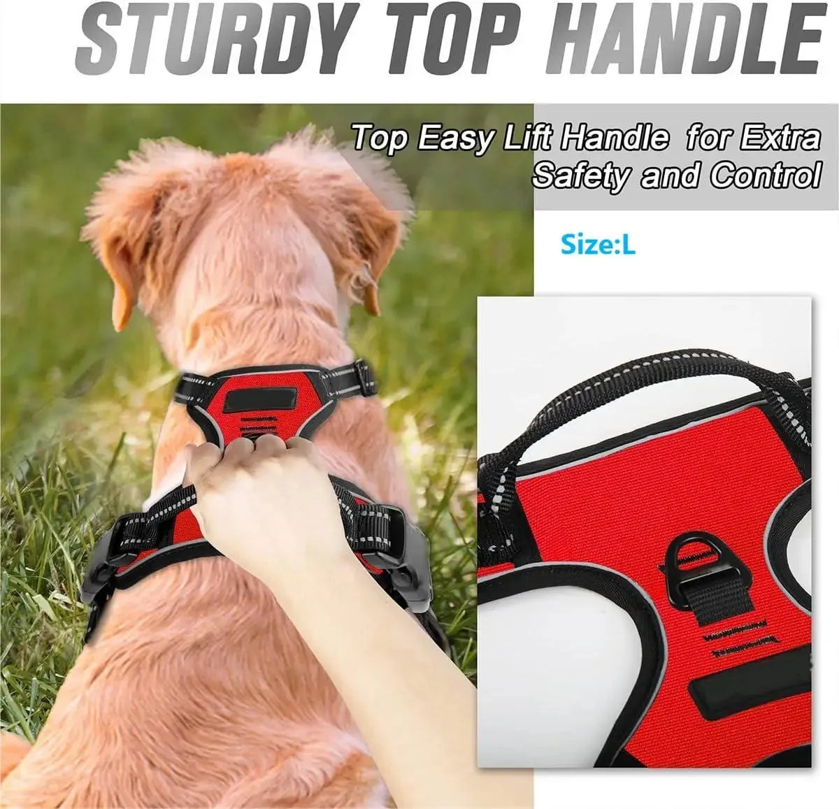 Adjustable Dog Harness & Leash Set – Comfortable Puppy Vest