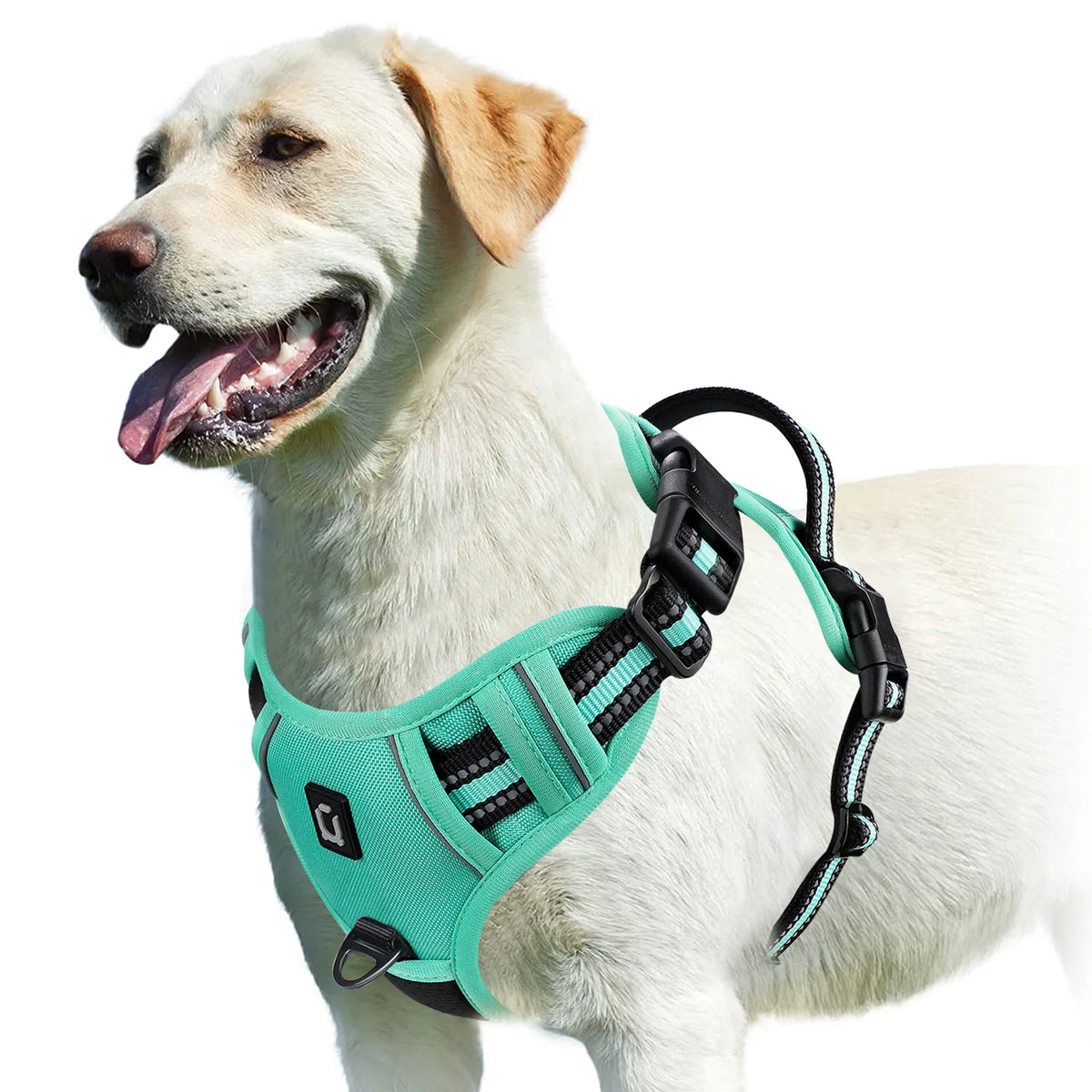 Adjustable No-Pull Padded Dog Vest Harness